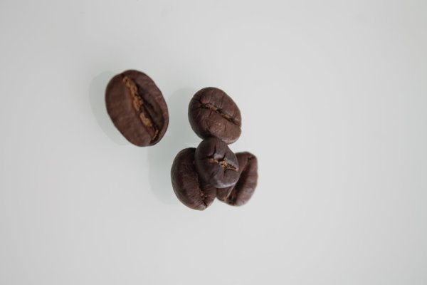Cafe Crema "bar", Röstkaffee in ganzen Bohnen für Espresso, Latte Macchiato und Cappuccino KSN