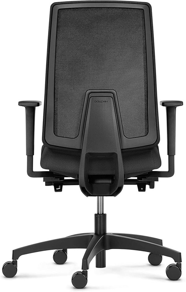 Dauphin Indeed, ergonomischer Bürostuhl, Bandscheibenstuhl mit hoher höhenverstellbare Rückenlehne