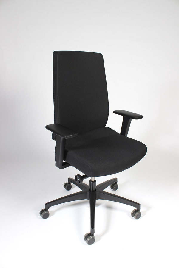 Dauphin Indeed, ergonomischer Bürostuhl, Bandscheibenstuhl mit hoher höhenverstellbare Rückenlehne